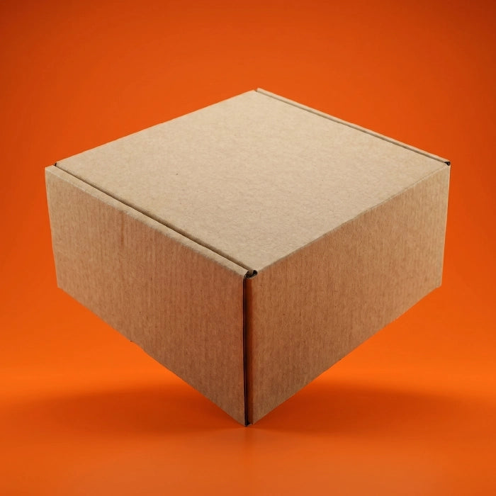 Medium Shoe Ecommerce Box (11.5 x 7.5 x 4 Inches)