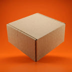 Medium Shoe Ecommerce Box (11.5 x 7.5 x 4 Inches)