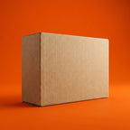 Medium Shoe Ecommerce Box (11.5 x 7.5 x 4 Inches)