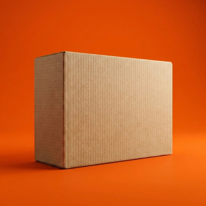 Medium Shoe Ecommerce Box (11.5 x 7.5 x 4 Inches)