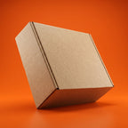 Medium Shoe Ecommerce Box (11.5 x 7.5 x 4 Inches)